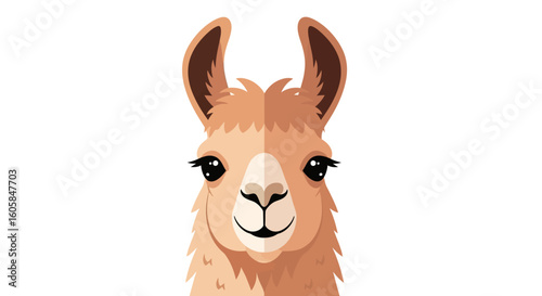 Charming Llama Illustration: A Whimsical Portrait of Andean Wildlife on Isolated White Backdrop