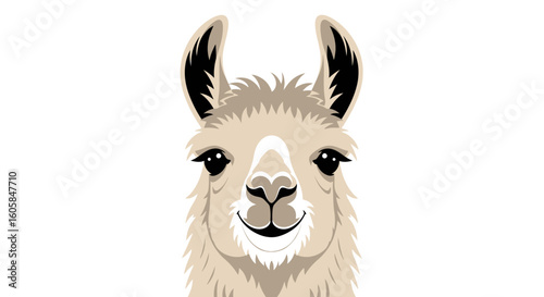 Charming Llama Portrait with Expressive Eyes and Gentle Smile on a Clean White Backdrop perfect for children