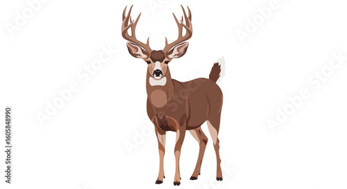 Majestic Deer Illustration with Grand Antlers Standing Alert on a Plain Backdrop design visual appealing animal portrayal for various media