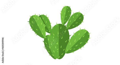Stylized cactus illustration showcasing desert flora with its distinctive green pads and spiky thorns on a white backdrop