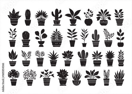 Silhouettes of Potted Plants Displaying Botanical Variety and Natural Elegance.