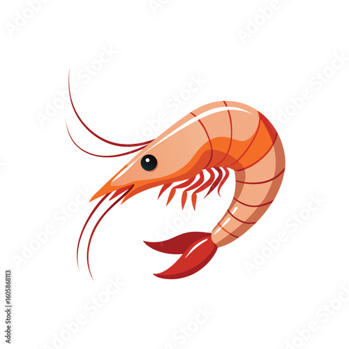shrimp isolated on white background