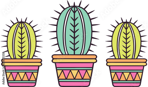 Symmetric overhead shot of a tiered display of rare cacti in hand‑painted pots highlighting intricate spines and textures.