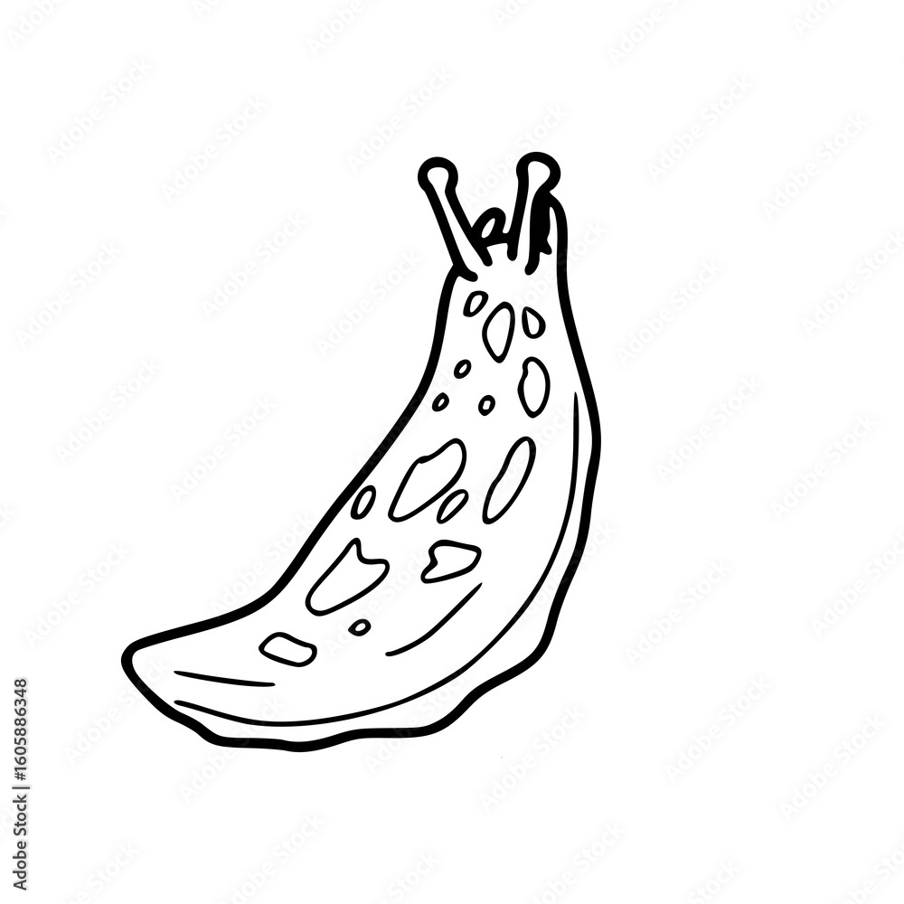 Obraz premium garden slug vector outline