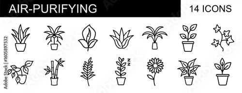 A set of 14 outline icons representing various air-purifying plants in pots and as individual leaves, perfect for eco-friendly, nature, or indoor gardening themes.