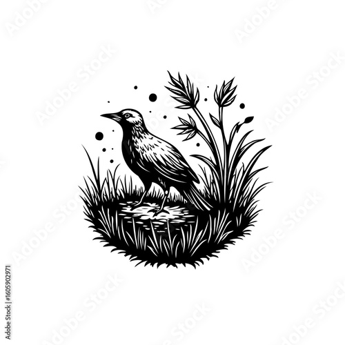 A solitary bird illustration amidst wild grass and foliage in black and white design style