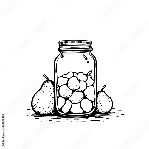 Charming pear preserve illustration depicts a jar of preserved fruit with fresh pears nearby hand drawn