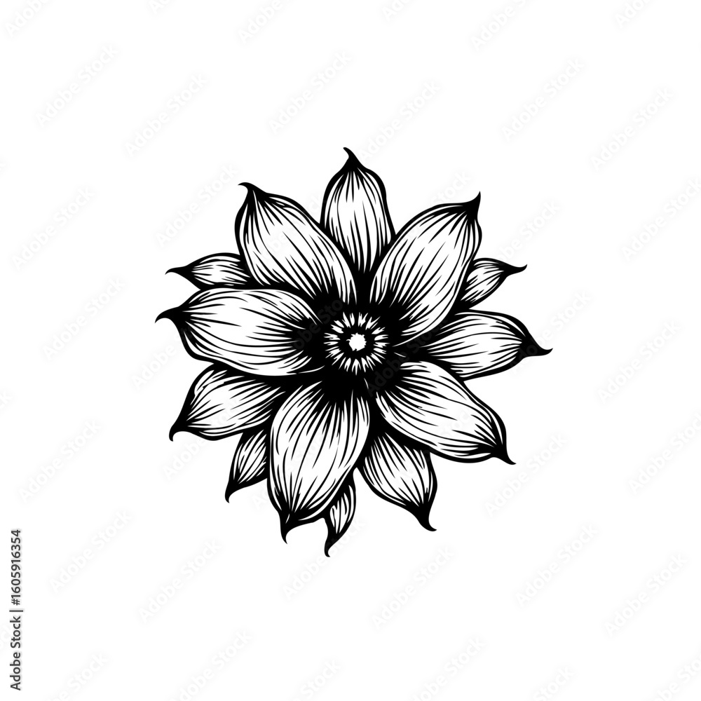 Obraz premium Elegant black and white flower illustration showcasing intricate floral design and delicate botanical art with detailed petals
