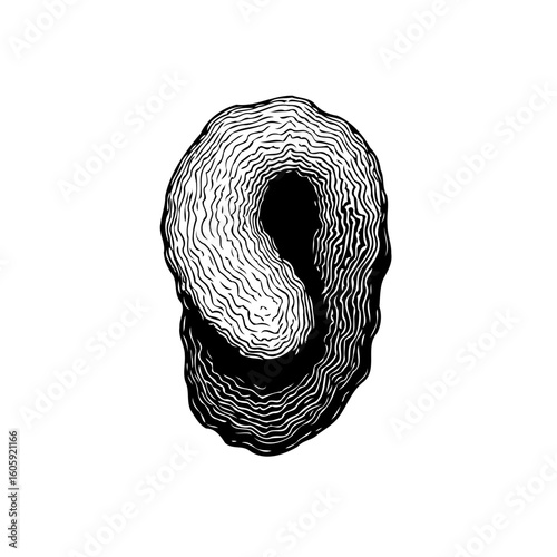 Elegant swirling vortex design created with meticulous line work to produce an artistic illustration in black and white