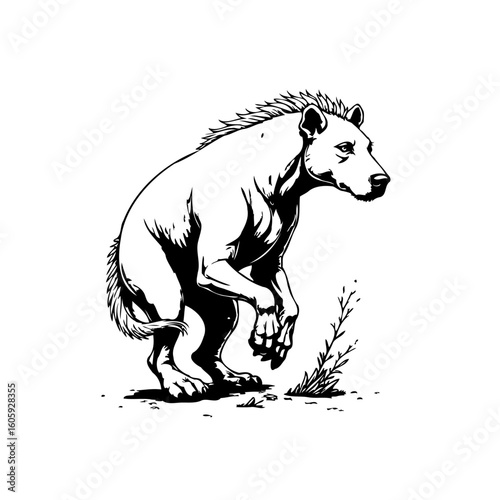 Detailed line art illustration of a striking hyena standing on its front paws observing its surroundings with intensity