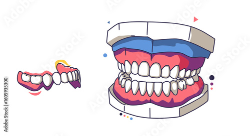 Teeth Models and Anatomy in a Graphic Style