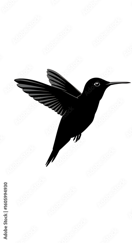 Obraz premium A silhouette of a hummingbird in flight with wings spread against a white background image view