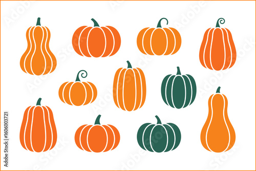 Pumpkin variety set, different shapes and colors, autumn harvest pumpkin collection, vector illustration, Halloween design