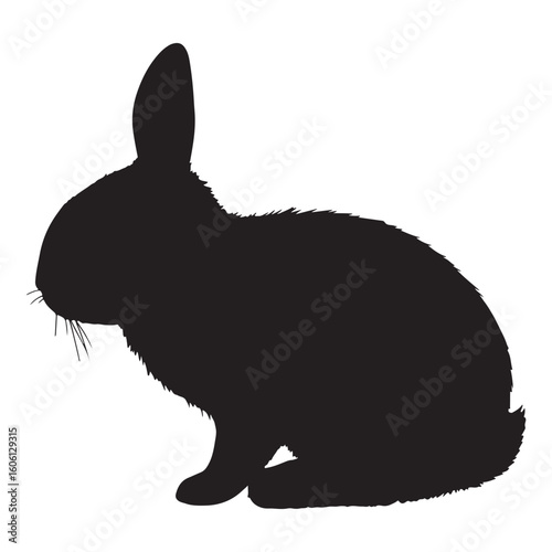A cute fluffy black rabbit sitting on a white background with its ears perked up attentively