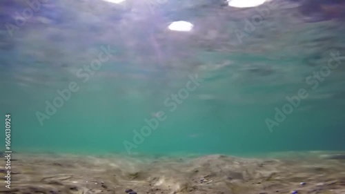 Underwater scene with turquoise water and sandy bottom