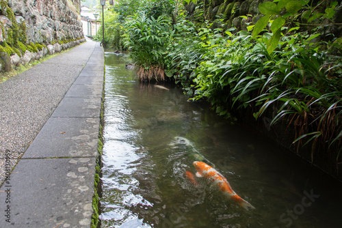 郡上八幡いがわ小径