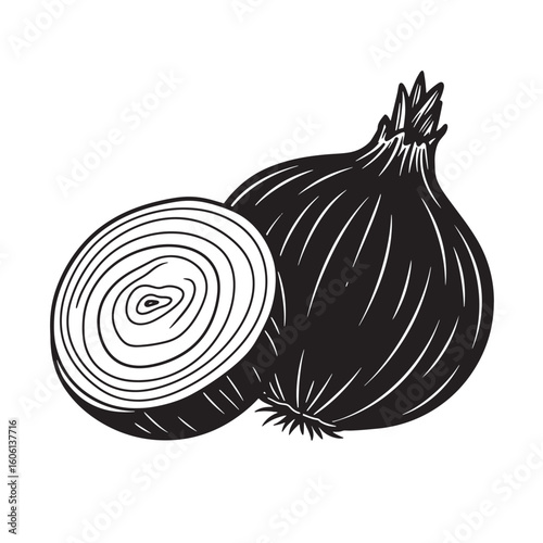 Black and white onion illustration halved onion vegetable