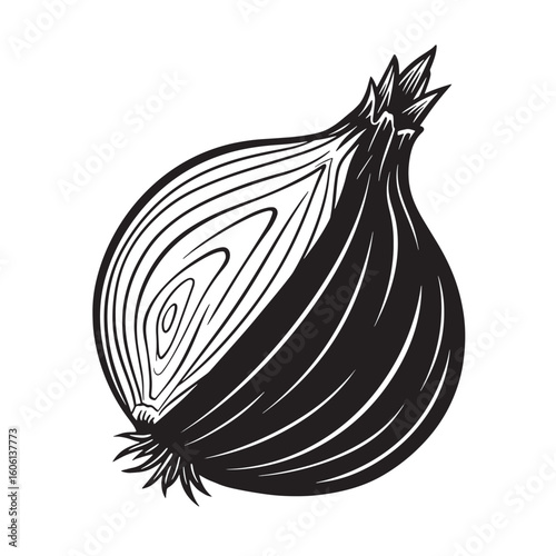Black and white onion slice food vegetable