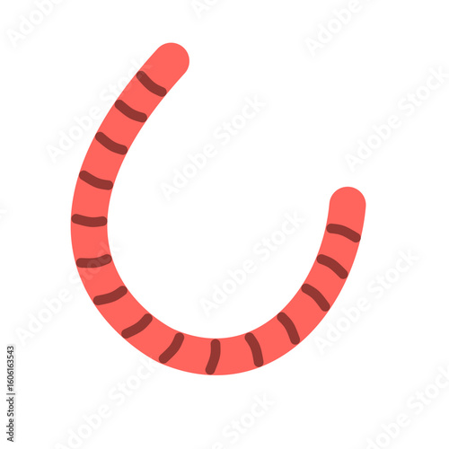 Roundworms