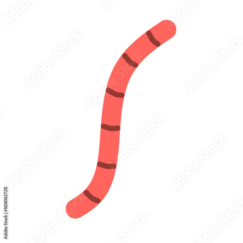 Roundworms