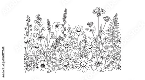 A continuous horizontal border adorned with decorative wildflowers and herbs. A black and white hand-drawn vector illustration.

