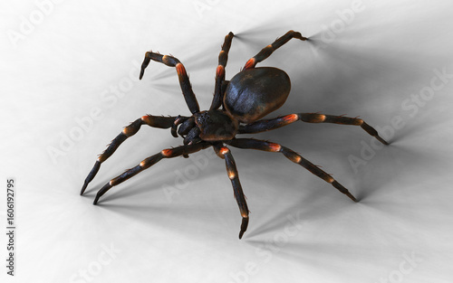 3d Illustration of a vivid close-up of a spider tarantula moving gracefully, showcasing hairy legs and intricate patterns.