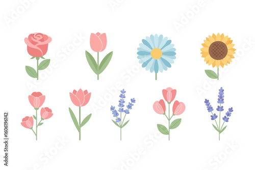 Flower Illustration with Various Blooms for Decorative Use