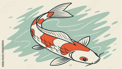 Koi fish drawing illustration of japanese koi fish pond with orange and white koi fish swimming art design