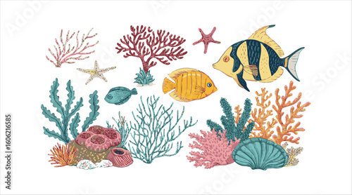 Collection of vibrant aquatic design components