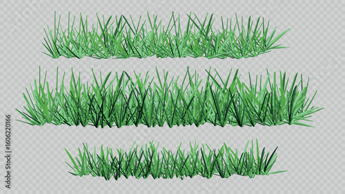Set of realistic green grass borders on transparent background. Perfect for landscape design, nature scenes, game UI, or outdoor decoration.