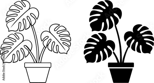 Minimalist Monstera Deliciosa Plant Potted Line Art and Solid Icon Set