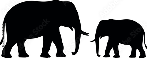 Two elephants mother and baby silhouette