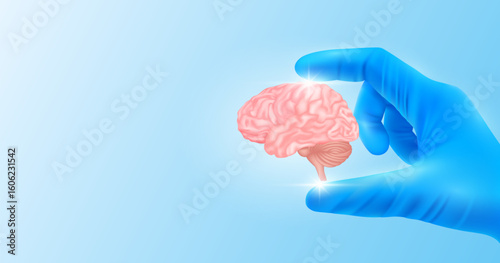 Doctor's hand in blue gloves holding brain. Shows human organ model close up on white background with blank space for your text. Medical health care analyzes. Vector realistic images.
