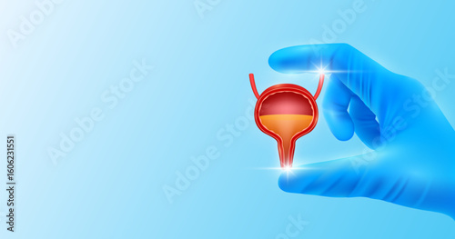 Doctor's hand in blue gloves holding bladder. Shows human organ model close up on white background with blank space for your text. Medical health care analyzes. Vector realistic images.