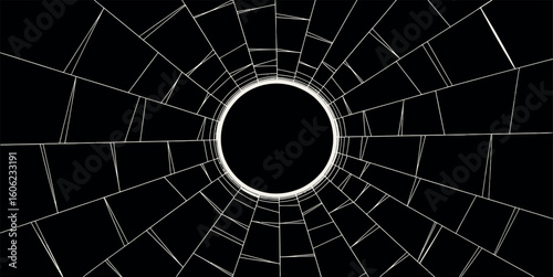Abstract geometric spiderweb silhouette