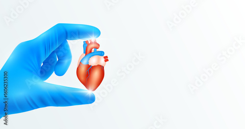 Doctor's hand in blue gloves holding heart. Shows human organ model close up on white background with blank space for your text. Medical health care analyzes. Vector realistic images.