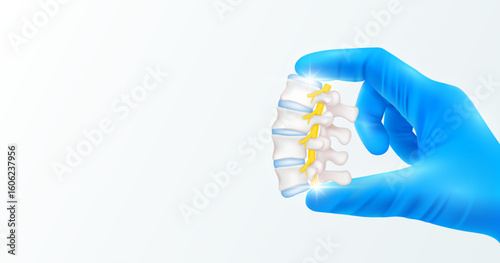 Doctor's hand in blue gloves holding spinal nerve. Shows human organ model close up on white background with blank space for your text. Medical health care analyzes. Vector realistic images.