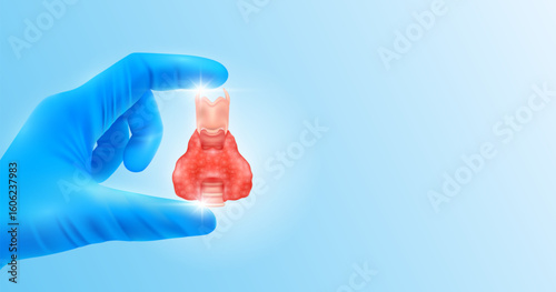 Doctor's hand in blue gloves holding thyroid gland. Shows human organ model close up on white background with blank space for your text. Medical health care analyzes. Vector realistic images.