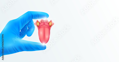 Doctor's hand in blue gloves holding tongue. Shows human organ model close up on white background with blank space for your text. Medical health care analyzes. Vector realistic images.