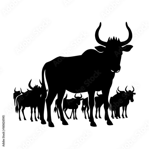Wildebeest herd animal wildlife savanna africa horned mammals silhouette