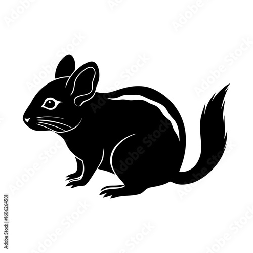 Rodent chinchilla pet animal cute mammal fluffy vector graphic silhouette