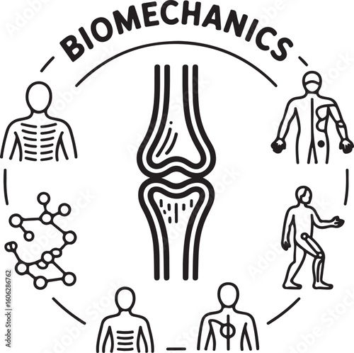 A set of doodle line icons representing biomechanics, joint analysis, body movement, rehabilitation, bone strength, and human anatomy