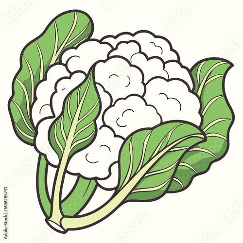 Stylized white cauliflower with green leaves showcases nature's bounty in simple form