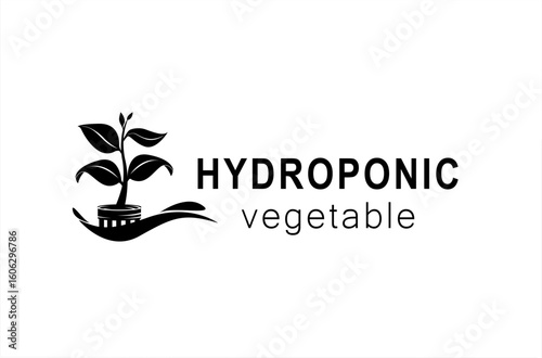 Hydroponic vegetable agriculture healthy logo design illustration