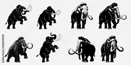 Set of vector illustration of elephants silhouette