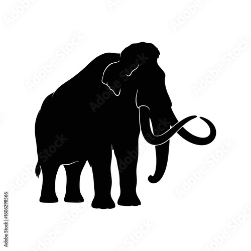 vector illustration of elephant silhouette