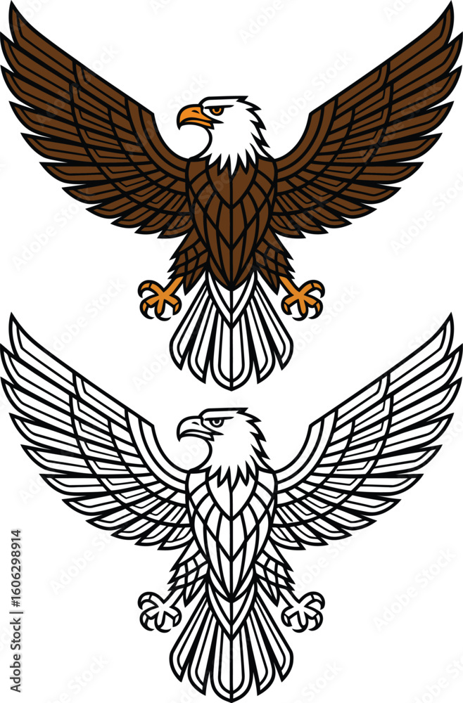 Fototapeta premium Eagle flying front view line art and color vector illustration