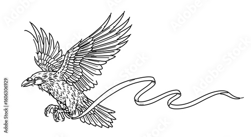 Flying raven with ribbon vector illustration black and white drawing for tattoo design and logo art print
