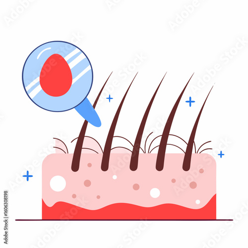 Magnified view of hair and skin structure illustration