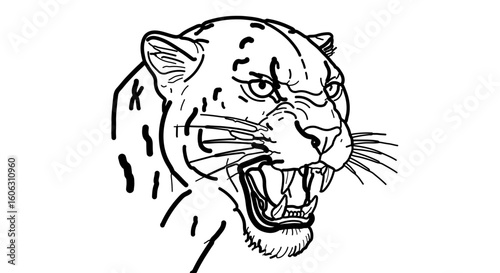 Black panther drawing illustration vector, jaguar, animal, wildcat, feline, mammal, predator, carnivore